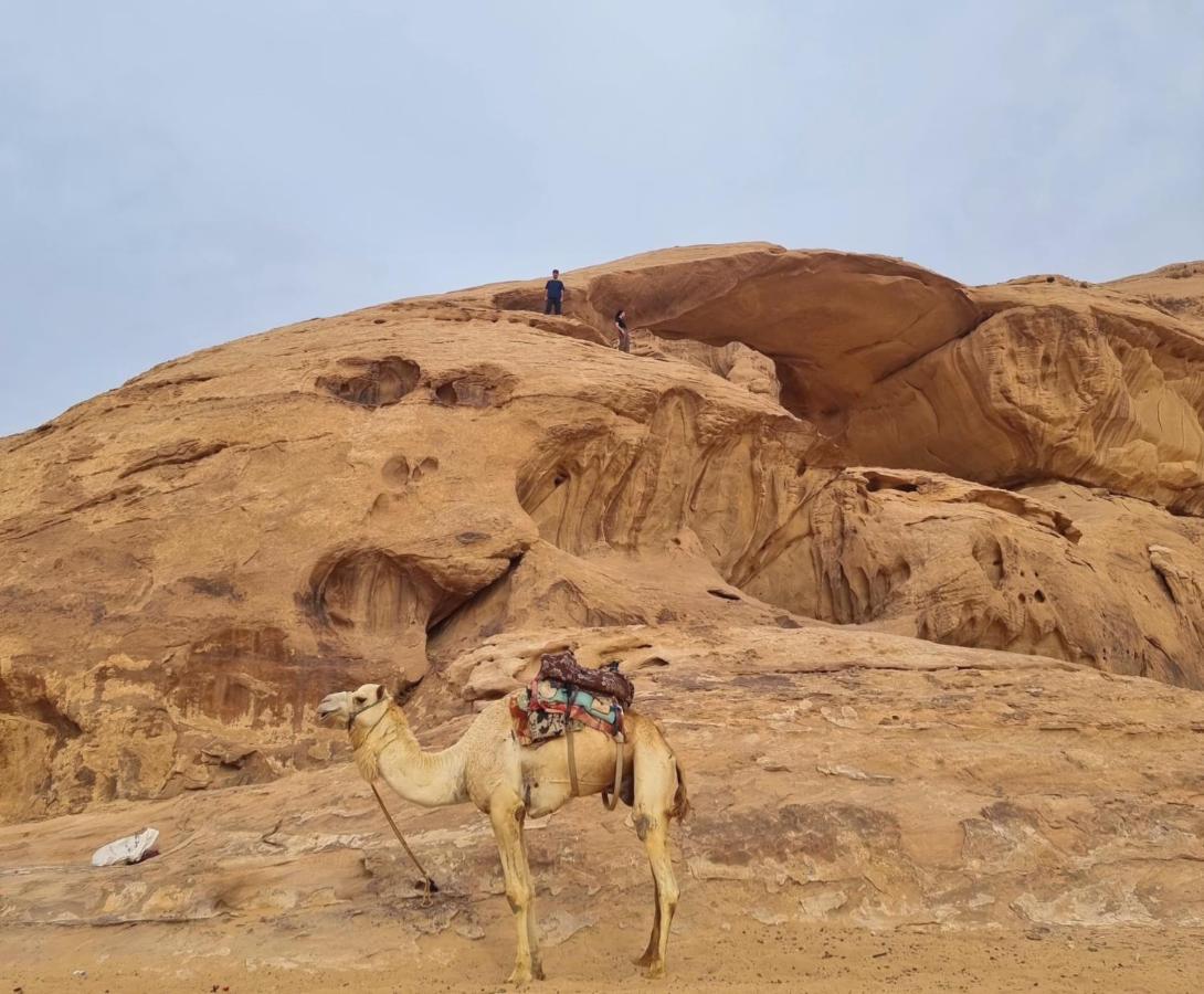 Wadi Rum Hugo Camp Exteriör bild