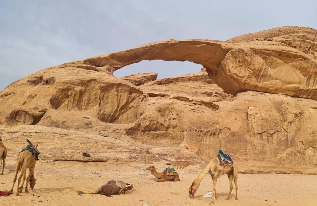 Wadi Rum Hugo Camp Exteriör bild